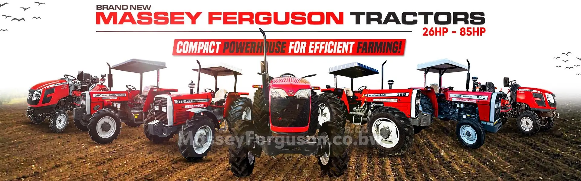 MASSEY FERGUSON BOTSWANA MAIN BANNER 0101